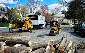 Best Tree Trimming and Pruning  in Hughson, CA