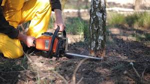 Best Weed Control  in Hughson, CA